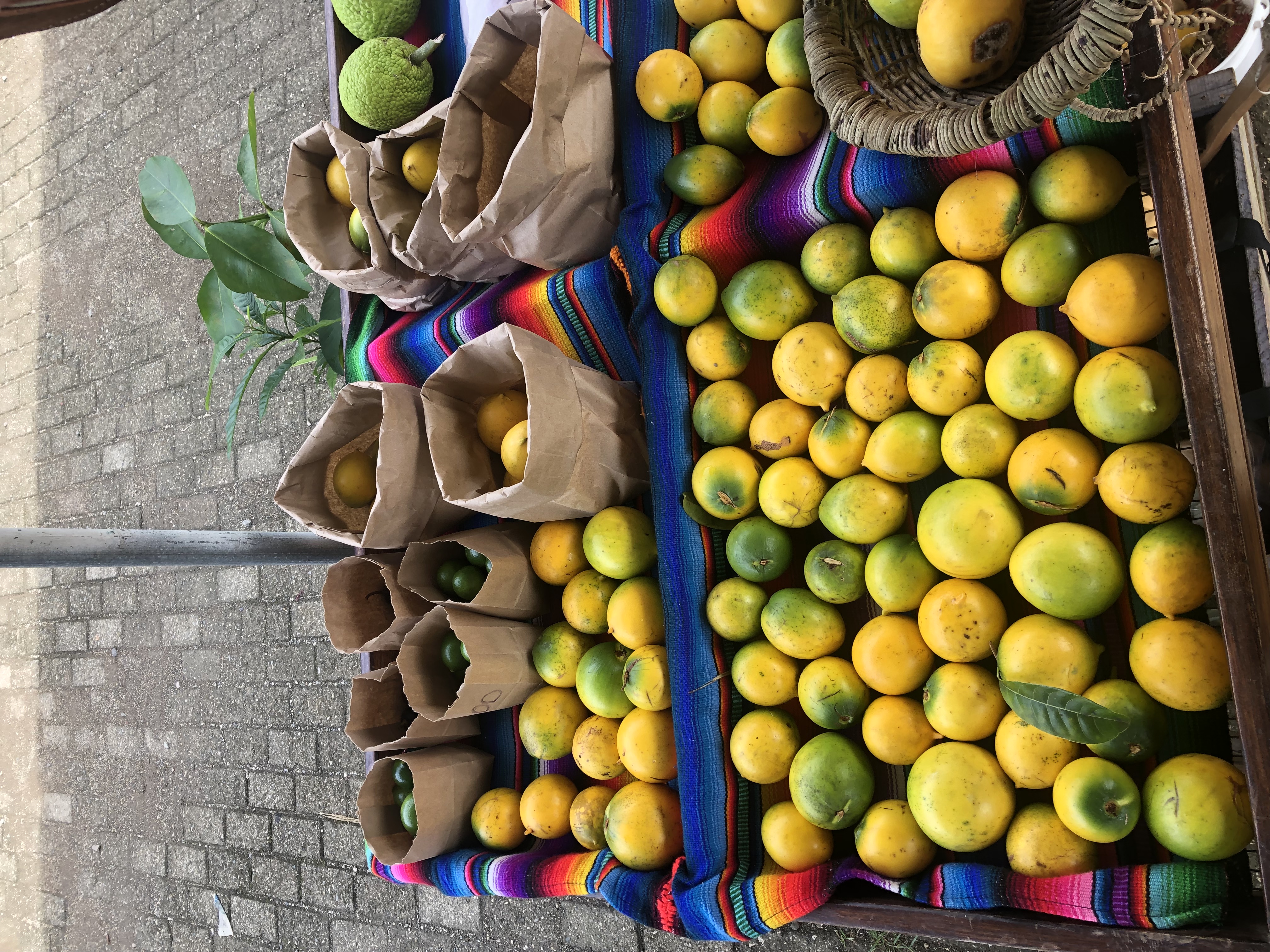 Abiu at the market
