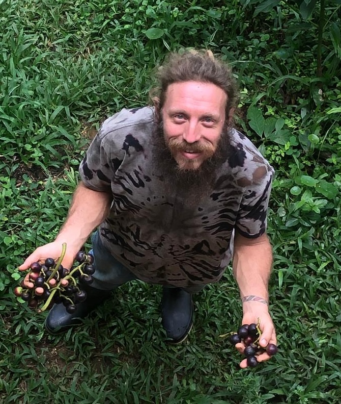 Amazonian Grapes