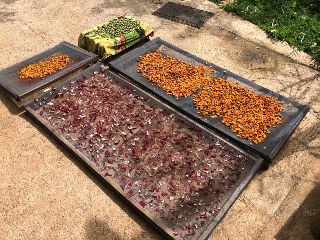 Drying Crops