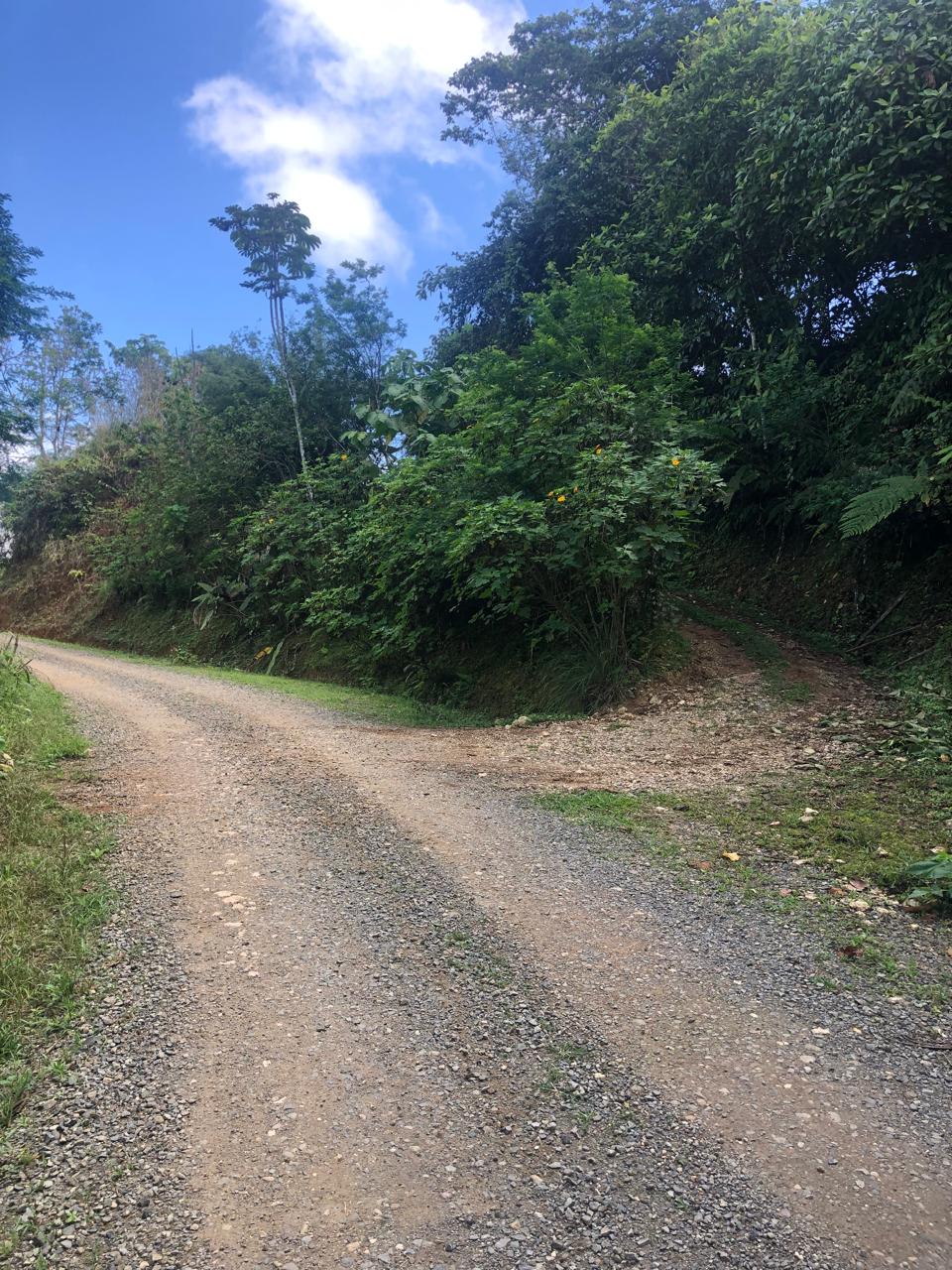 Permaculture landscape work