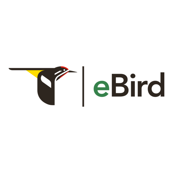 eBird