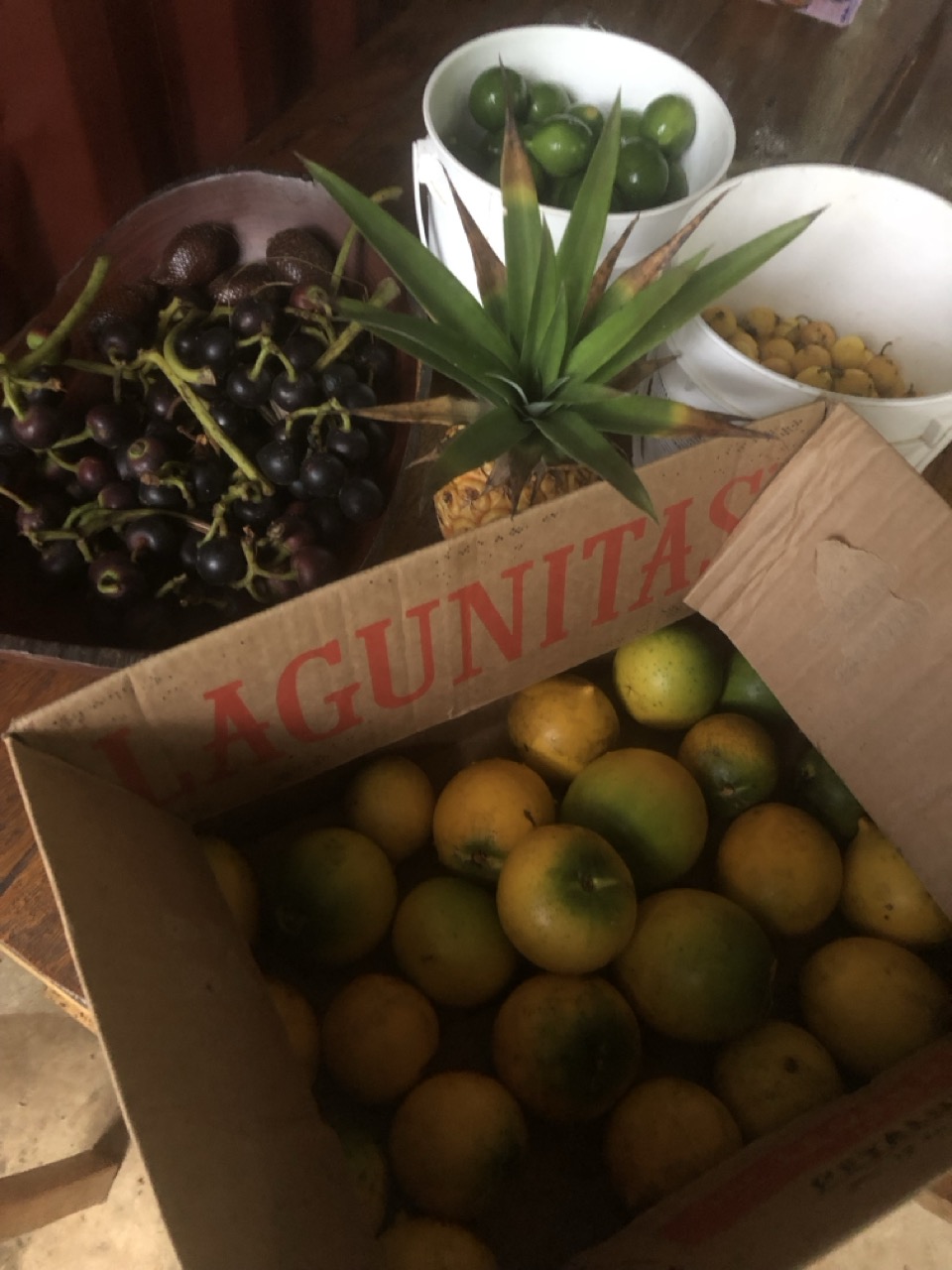 Market Abundance