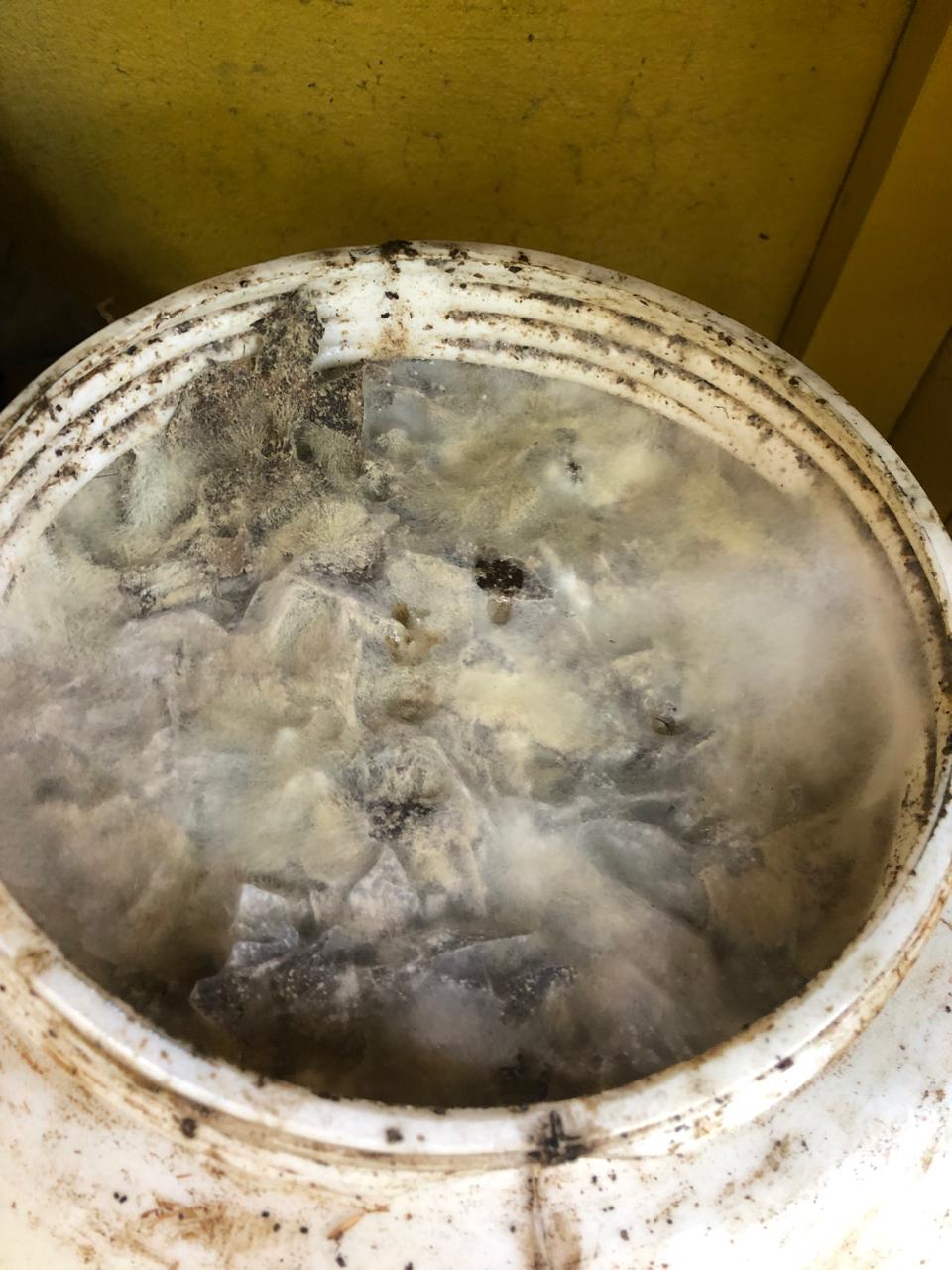 Permaculture landscape work