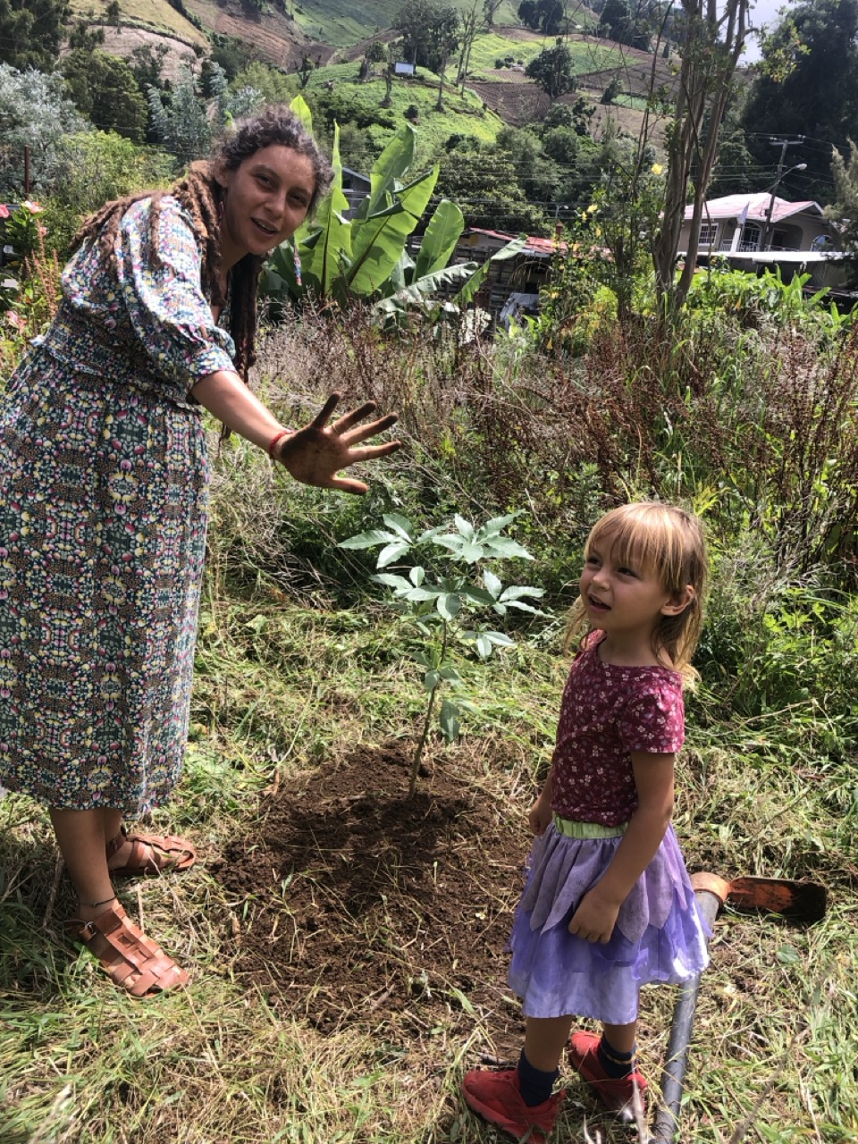Planting tree