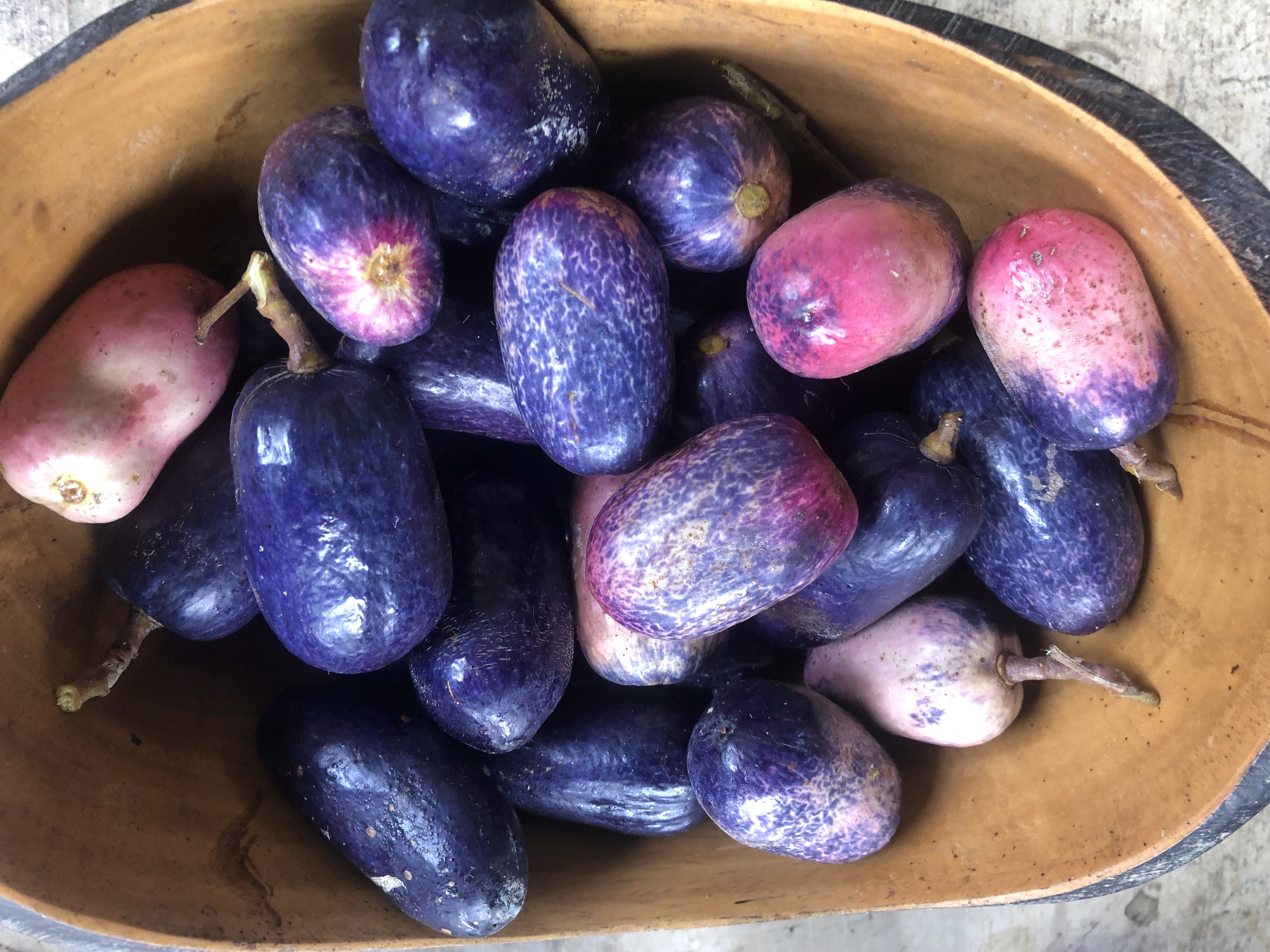 Safou in a Bowl