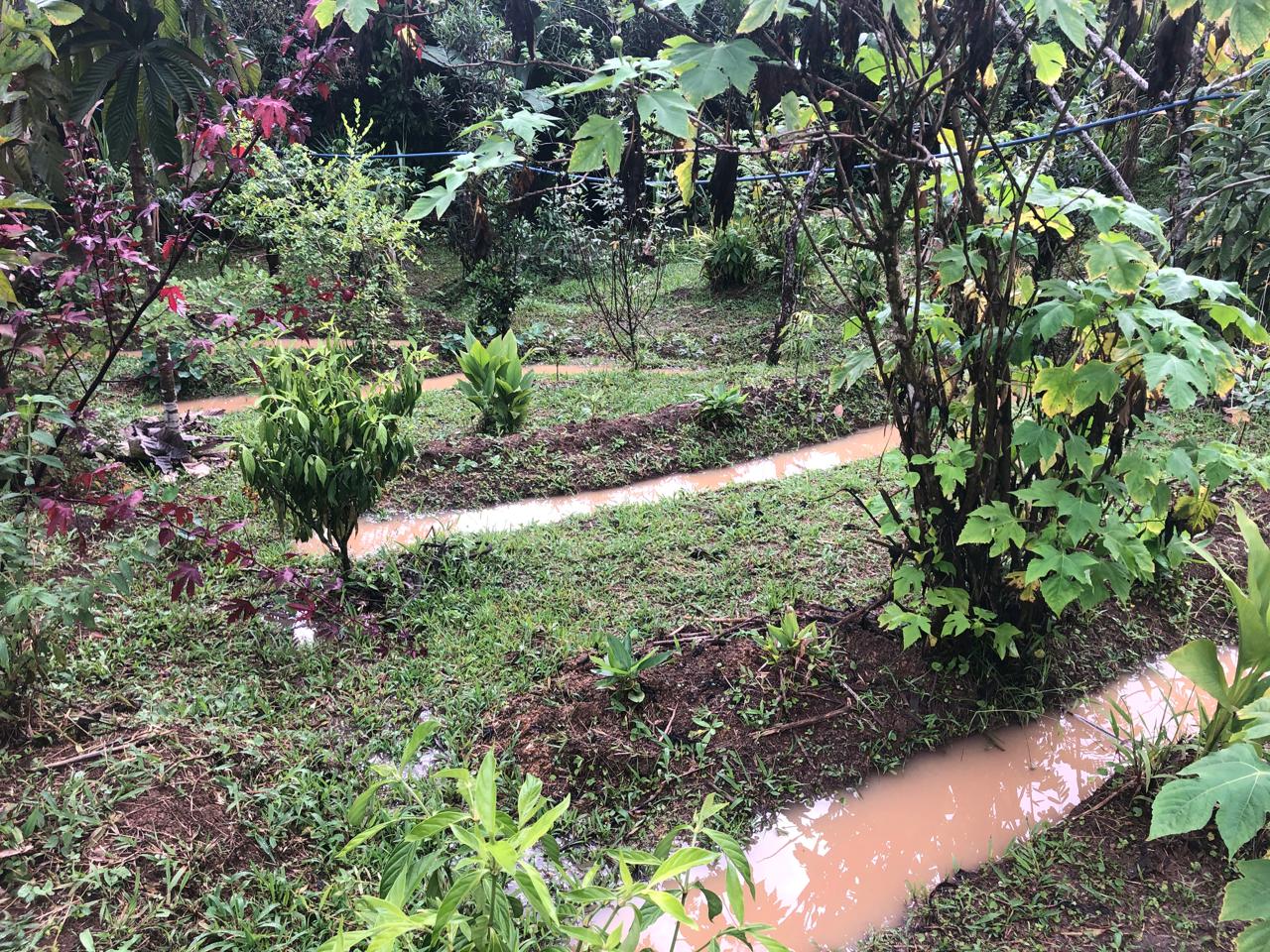 Permaculture landscape work