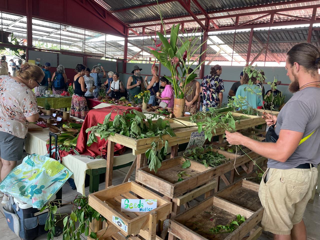 Tinamaste Annual Seed Festival