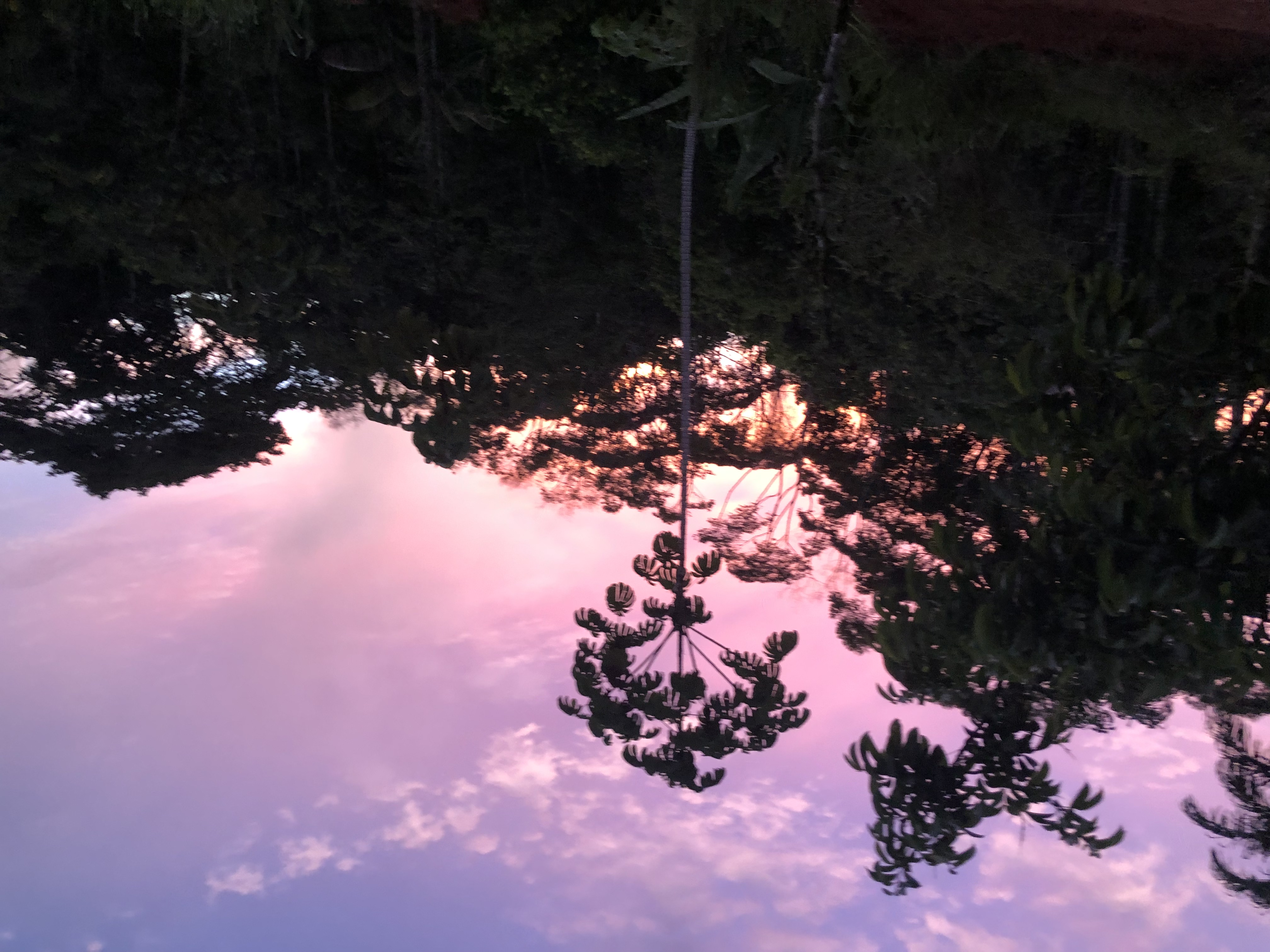 Twilight at the farm